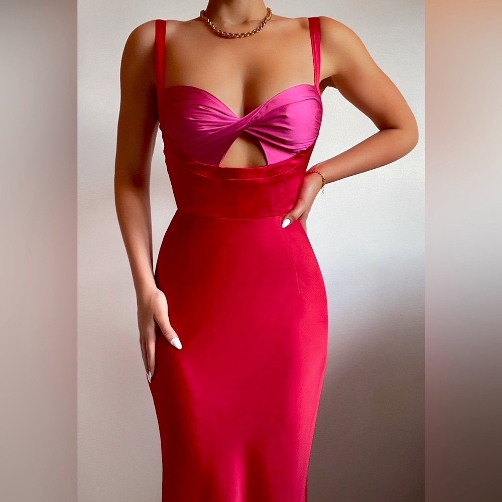 JAUS NWT Runway Kelsey Red and Pink Midi Dress